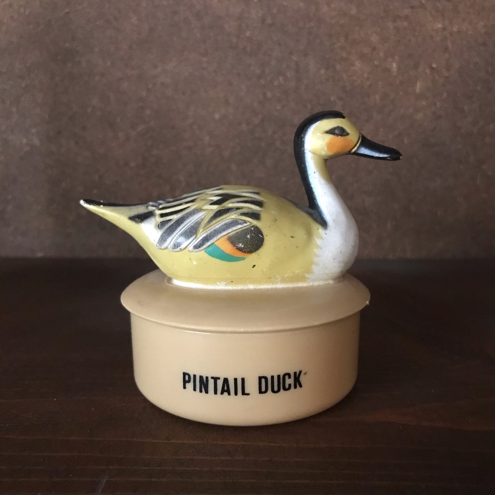 Duck Knick Knack holder 🦆